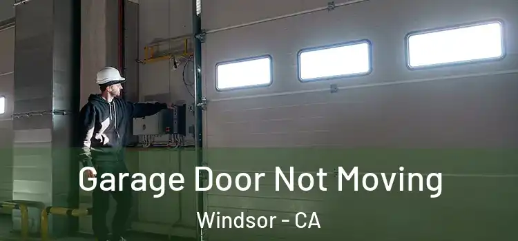  Garage Door Not Moving Windsor - CA