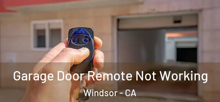  Garage Door Remote Not Working Windsor - CA