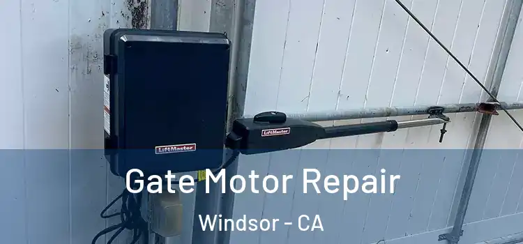 Gate Motor Repair Windsor - CA