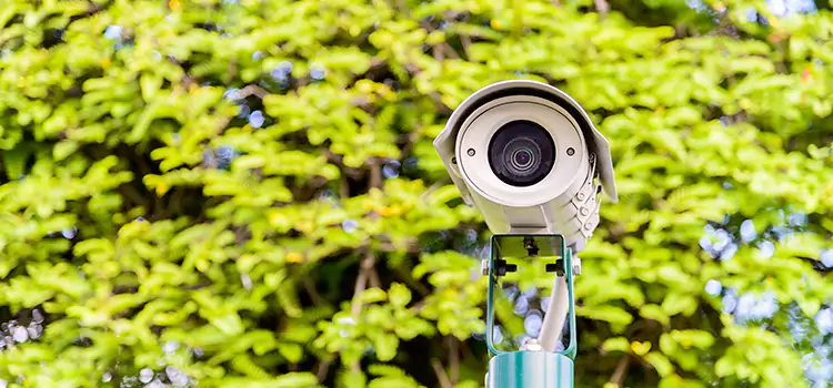Advanced Surveillance Solutions for Every Need in Windsor