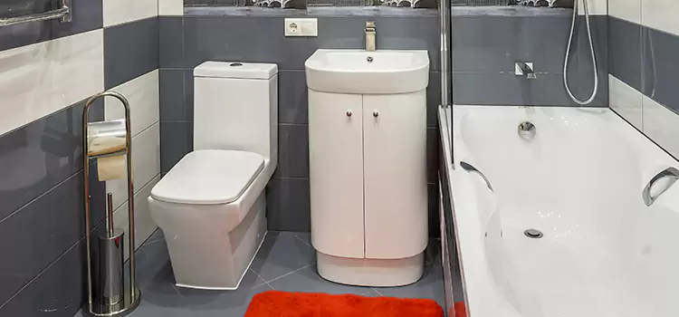 Hansgrohe Shaving Mirror Windsor