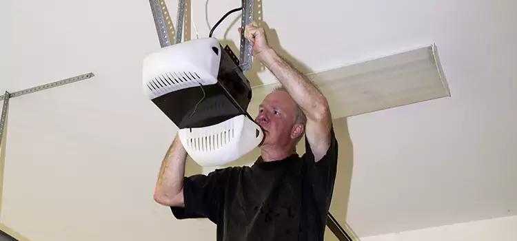 Garage Door Opener Service Windsor