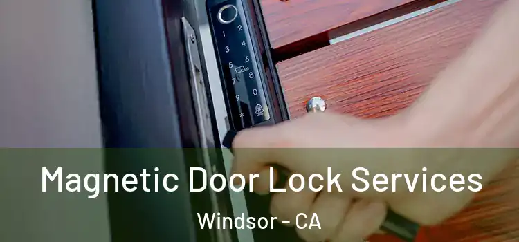 Magnetic Door Lock Services Windsor - CA