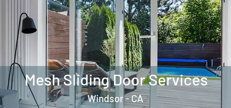 Mesh Sliding Door Services Windsor - CA
